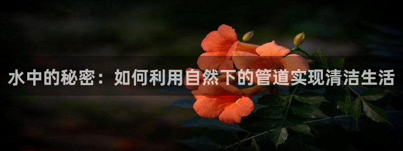 威九国际AN