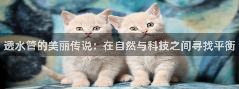 威九国际游戏app网址