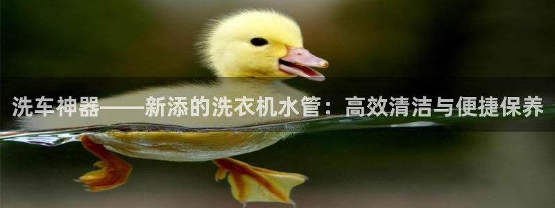 威九国际网站人入口