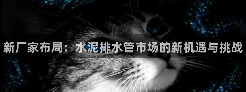 威九国际可以赚到钱
