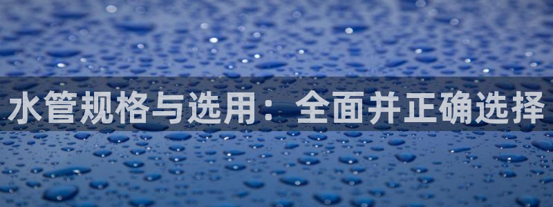 威九国际ppt免费吗