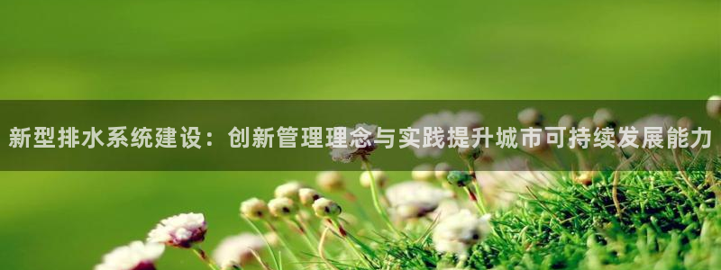威九国际ppt免费下载