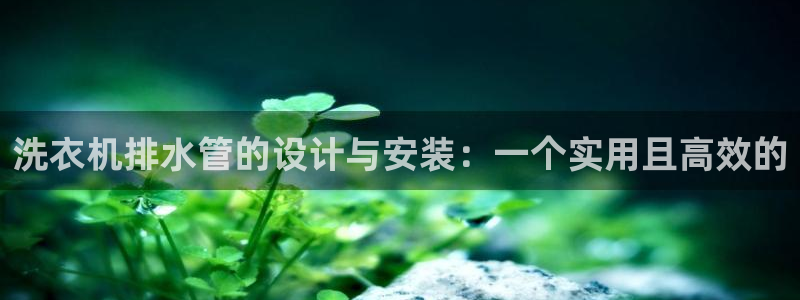 威九国际精彩推荐怎么样
