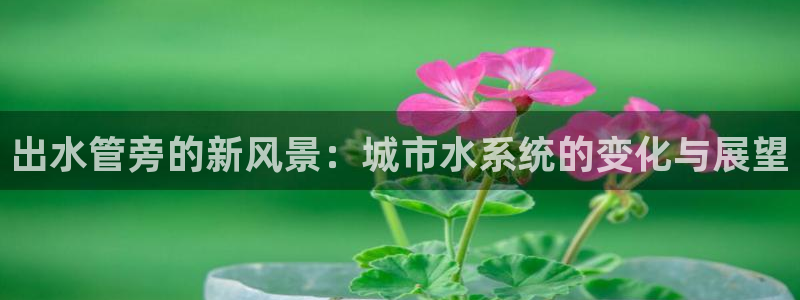 威九国际游戏