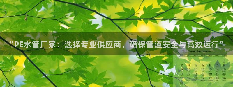 威九国际APP入口
