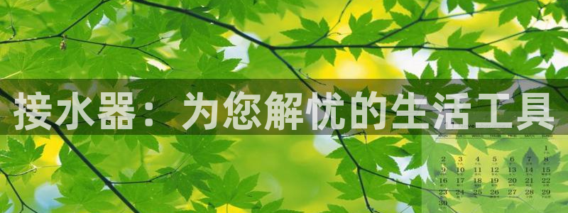 威九国际78mb 视频