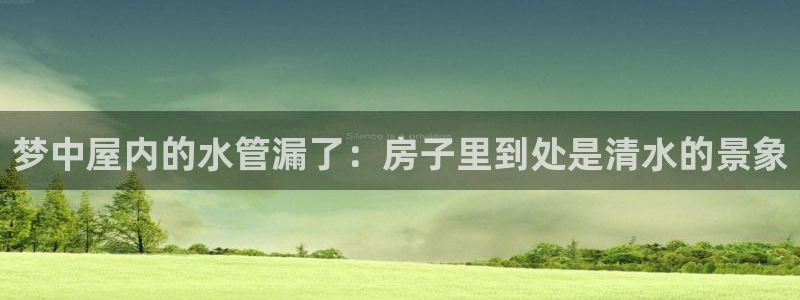 威九国际app网站安全吗