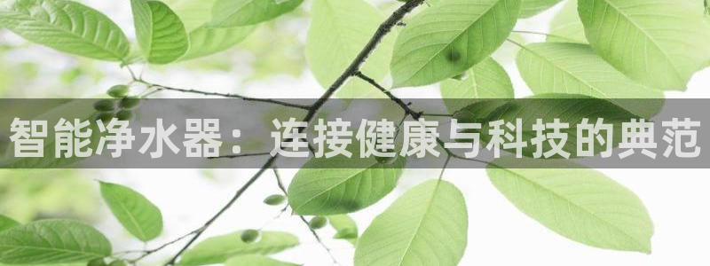 威九国际78m域名