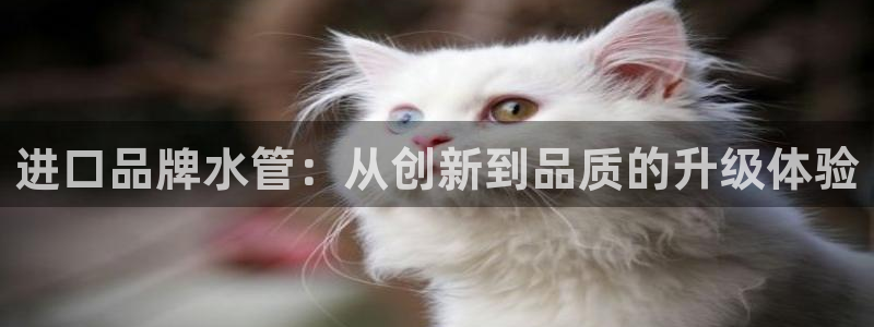 威九国际v96bet下载