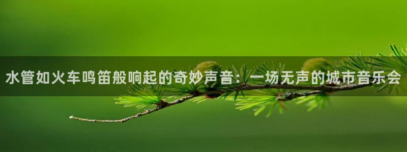 威九国际女主名字