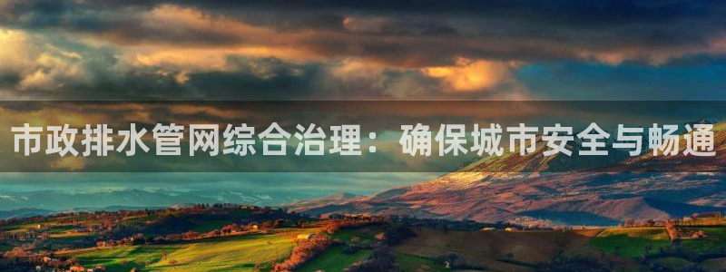 威九国际的演员