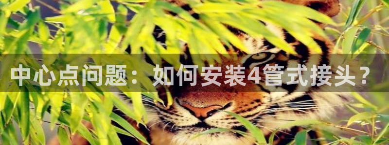 威九国际空降视频