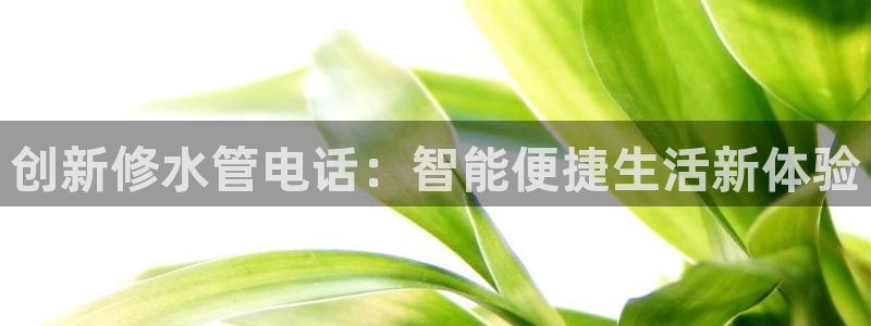 威九国际可以赚到钱