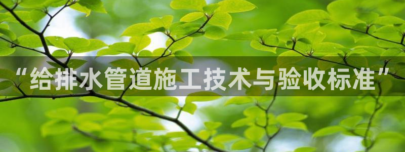 威九国际78mb下