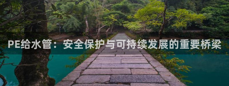 威九国际精忐