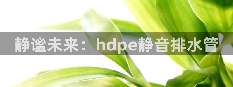 威九国际APP那个地方