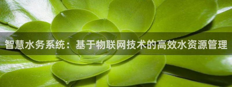 威九国际新