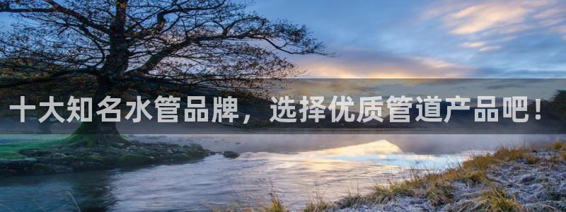 威九国际app客服电话