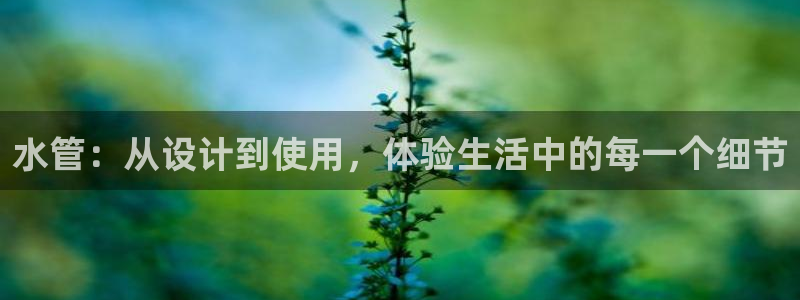 威九国际后爸