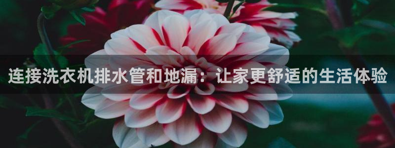 威九国际66m66