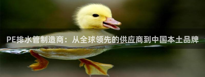 威九国际集团66m一6在线