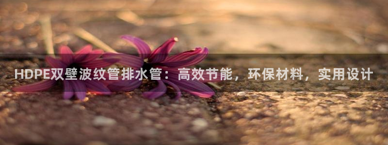 威九国际特殊奖励