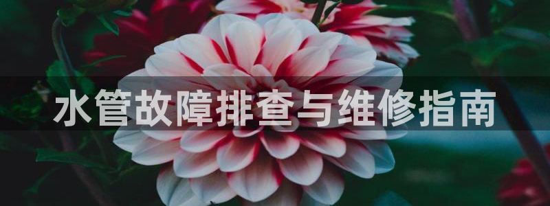 威九国际下载