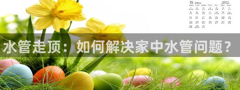 威九国际电影2022年9月月