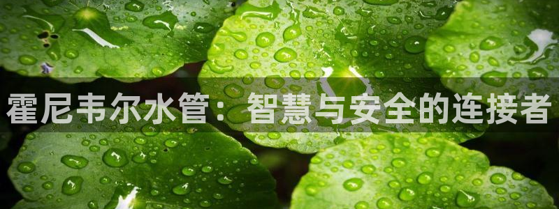 威九国际78mb官网版