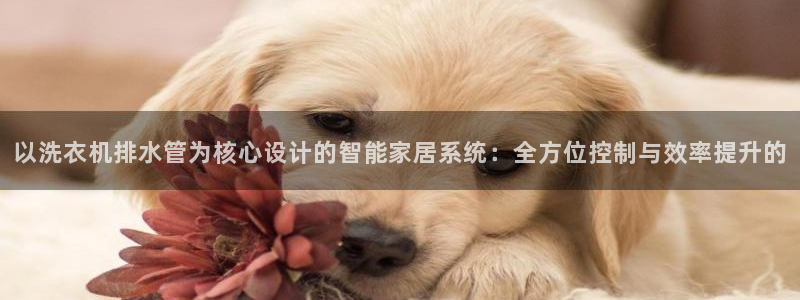 威九国际网站入口官网首页下载