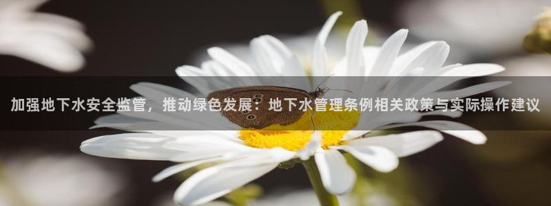 威九国际女明星