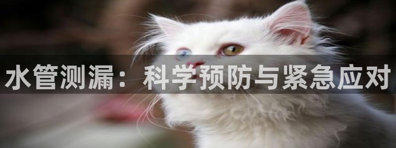 威九国际v96bet官网版