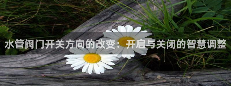 威九国际app入口官网
