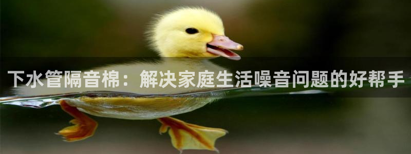 威九国际78ma