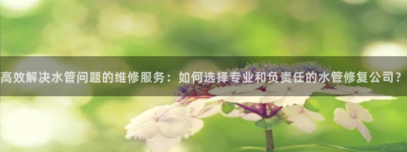 威九国际网站游戏