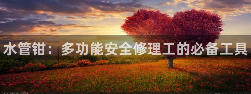 威九国际客服电话人工服务