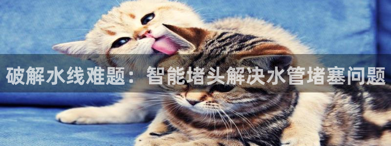 威九国际能提现吗安全吗