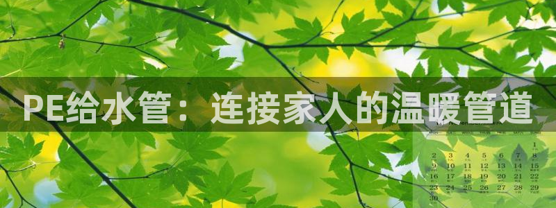 威九国际app无法登陆怎么回事