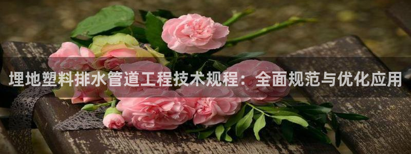 威九国际官方入口