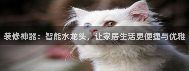 威九国际66在线