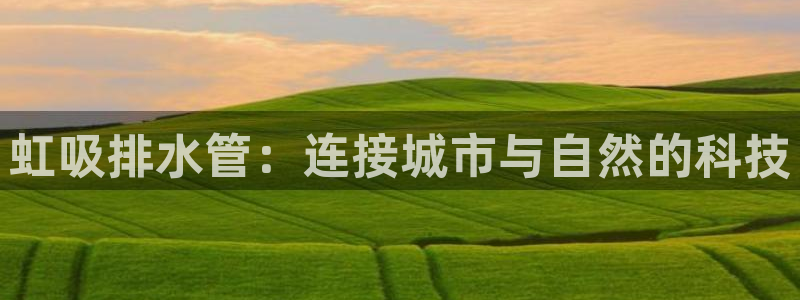 威九国际电视怎么样