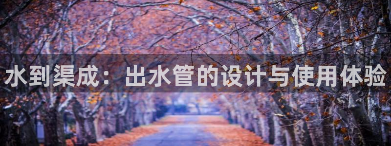 威九国际h5
