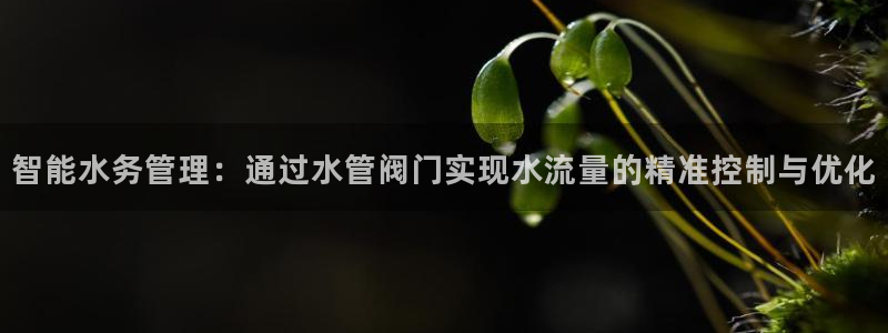 威九国际78mb游戏