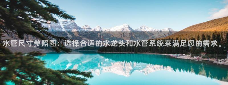 威九国际app客服电话多少