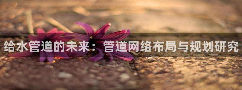 威九国际网站入口地址在哪里
