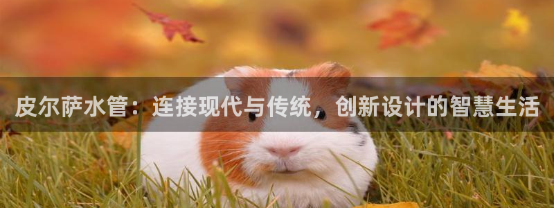 威九国际app哪个地方