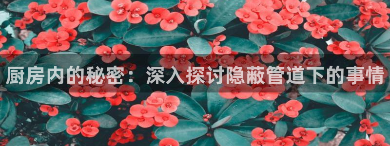 威九国际取款不会被骗吧是真的吗