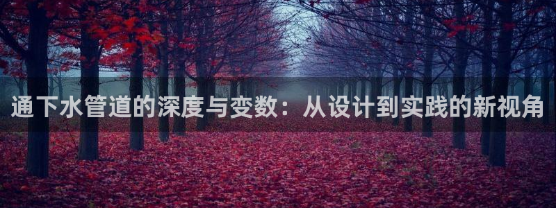 保定威九网络科技有限公司
