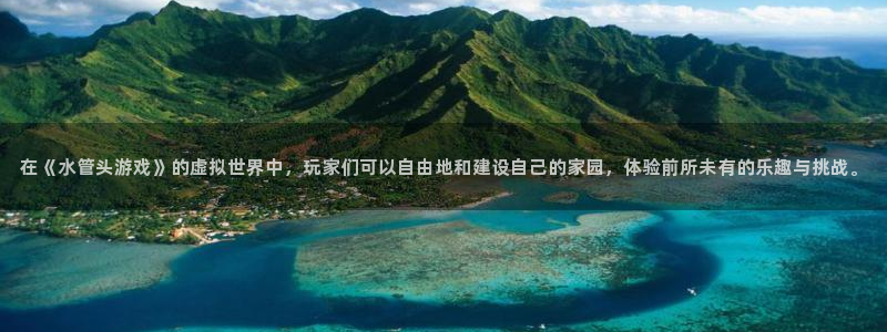 威九国际网站客服电话多少啊