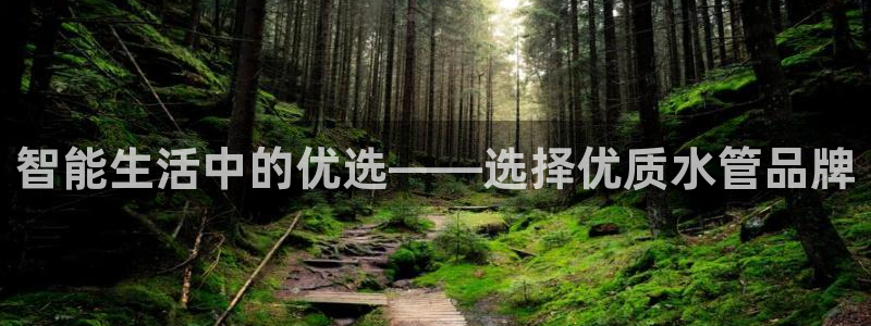 威九国际78mb玩法